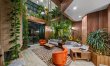 Jungle Glass 2