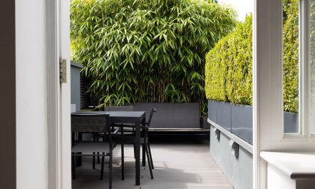 The Mayfair Penthouse 4