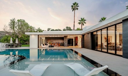 Palm Tree Daydreams