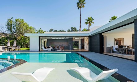 Palm Tree Daydreams 3