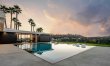 Palm Tree Daydreams 1