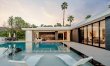 Palm Tree Daydreams 0