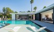 Palm Tree Daydreams 3