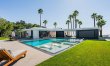 Palm Tree Daydreams 2