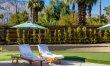 Sunlit Palms 5