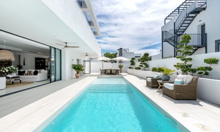 Sun's Embrace