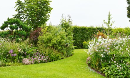 Countryside Magic 9