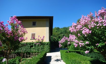 The Words of Tuscany 3
