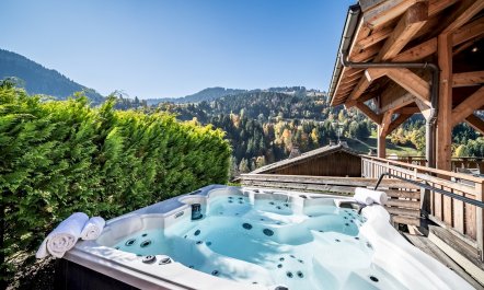 Morzine Muse 1