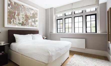 Fitzrovian Hideaway 5