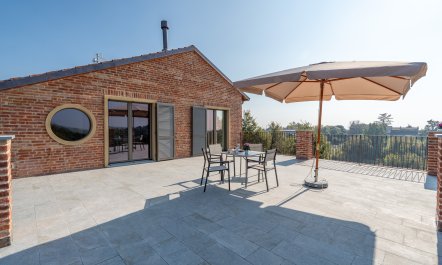 Monferrato & Vine 6
