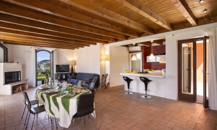 Bardolino Agave 4