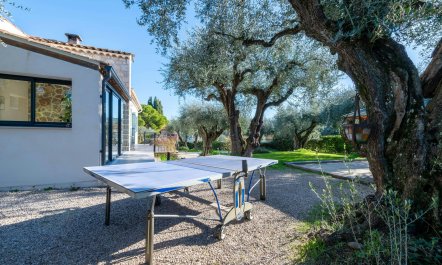 Olive Trees & Blue Shutters 4