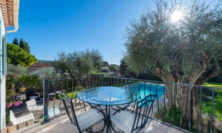 Olive Trees & Blue Shutters 5