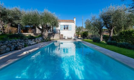 Olive Trees & Blue Shutters