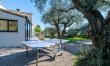 Olive Trees & Blue Shutters 4