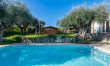 Olive Trees & Blue Shutters 3