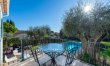Olive Trees & Blue Shutters 5