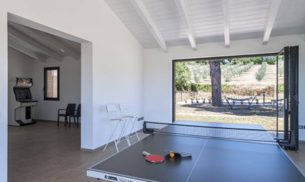 Cartoceto Olive Grove 7