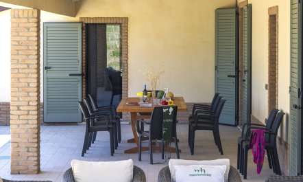 Cartoceto Olive Grove 5