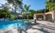 Flourishing Panorama 2