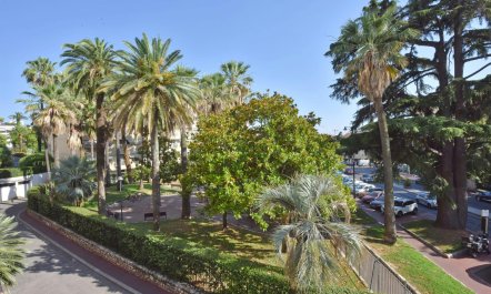 Palms & Trees 3