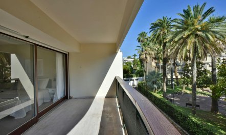 Palms & Trees 2