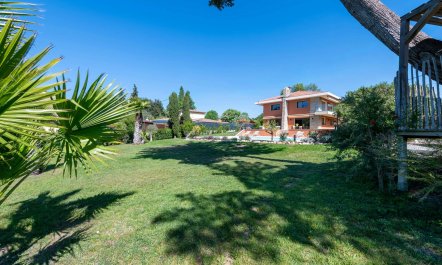 Quiet Terraces 7