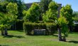 Quiet Terraces 6