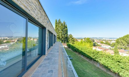 The Lovely Vista 6