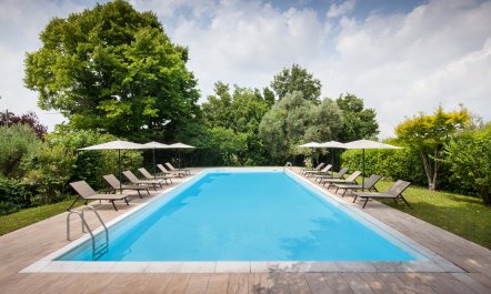 Vineyard Garda 3