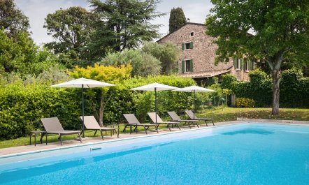 Vineyard Garda 4