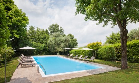Vineyard Garda 5