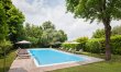 Vineyard Garda 5