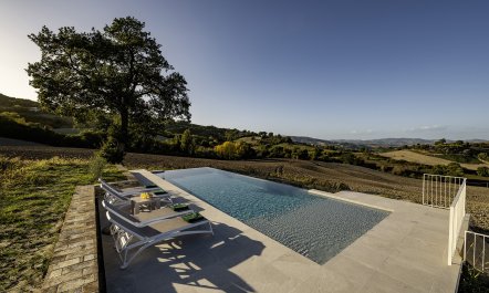The Centenarian Oak 2