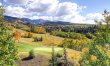 In The Treetops 7