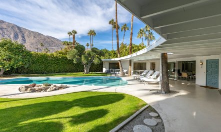 Palms & Citrus 2