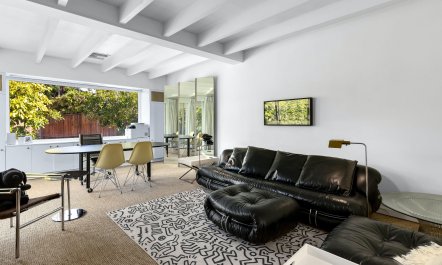 Palms & Citrus 7