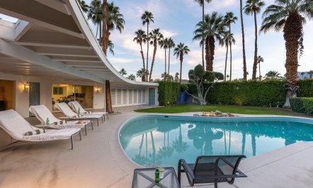 Palms & Citrus 1