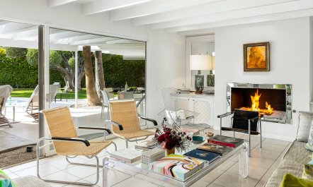 Palms & Citrus 6