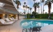 Palms & Citrus 1