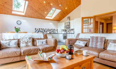 3 Bed in Perth 4