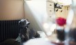 1 Bed in Kington 3