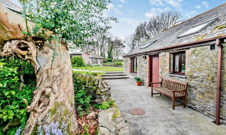 3 Bed in Looe 4