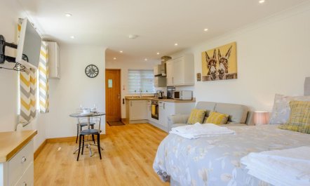 1 Bed in Godshill 5
