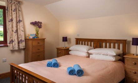 4 Bed in Llandovery 7