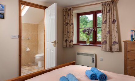4 Bed in Llandovery 8