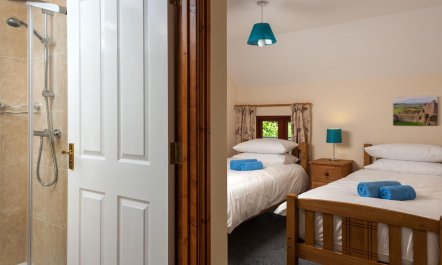 4 Bed in Llandovery 9