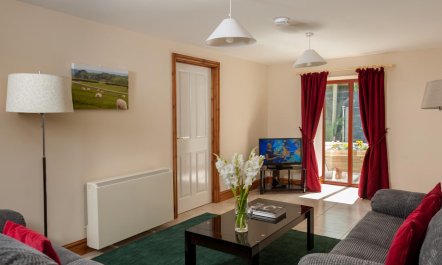 4 Bed in Llandovery 2