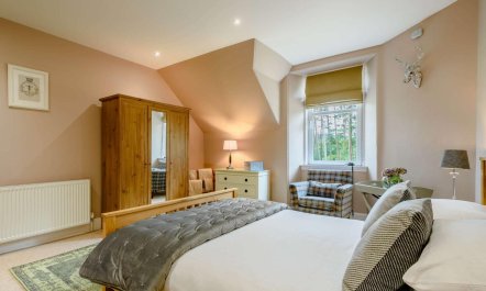 3 Bed in Stirling 6